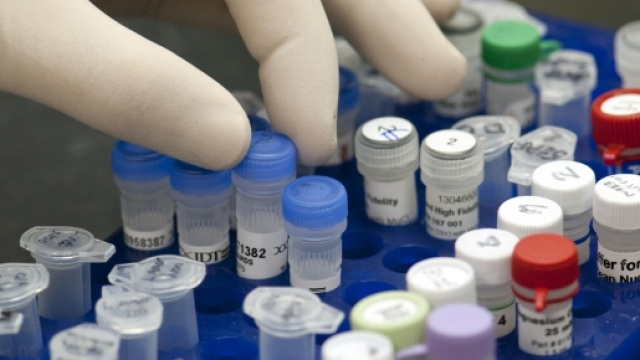 Nasce bambino con DNA di tre genitori