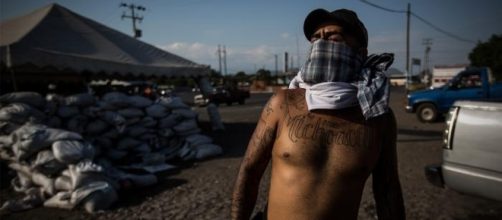 Colombian Drug War, Source: Vice News