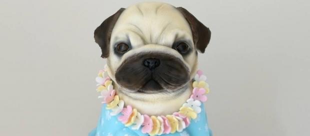 Bolos da cake designer são muito detalhados e realistas. Bolos da cake designer são muito detalhados e realistas.