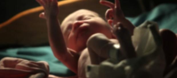 Primeiro bebê do mundo com o DNA de três pais Primeiro bebê do mundo com o DNA de três pais
