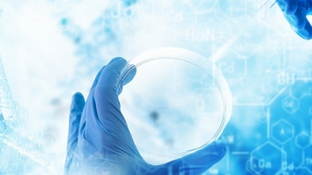 Nel biotech farmaceutico, il 92% degli addetti ha almeno una laurea.