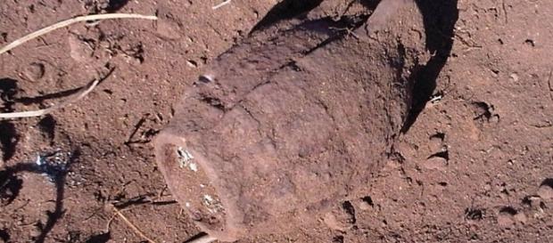 Fano, incredibile ritrovamento di una bimba nelle acque del litorale. Fano, incredibile ritrovamento di una bimba nelle acque del litorale.
