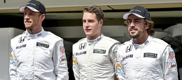 GP Italia F1 2016: Stoffel Vandoorne será el compañero de Alonso ... - marca.com GP Italia F1 2016: Stoffel Vandoorne será el compañero de Alonso ... - marca.com