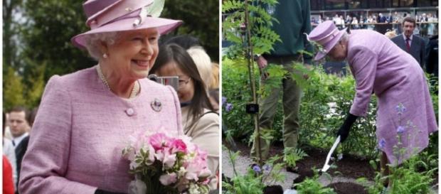 Rainha Elizabeth em seu jardim Rainha Elizabeth em seu jardim