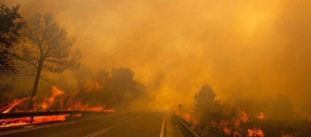 Incendie dans la région de Valence en Espagne Incendie dans la région de Valence en Espagne
