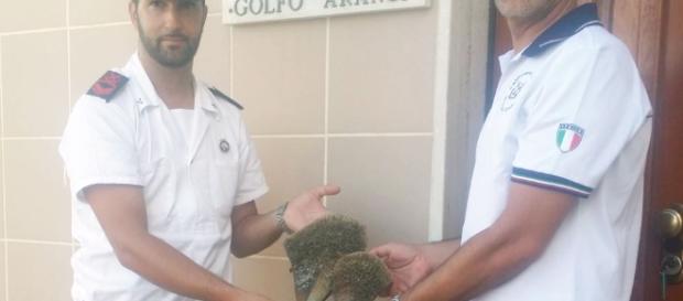 La "Nacchera" è stata sequestrata dagli uomini della Guardia Costiera. La "Nacchera" è stata sequestrata dagli uomini della Guardia Costiera.