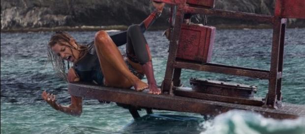 Paradise Beach: Dentro l'incubo, ovvero Blake Lively vs. lo Squalo ... - spetteguless.it Paradise Beach: Dentro l'incubo, ovvero Blake Lively vs. lo Squalo ... - spetteguless.it