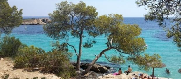 Majorque - île des Baléares - Playa Illetes Majorque - île des Baléares - Playa Illetes