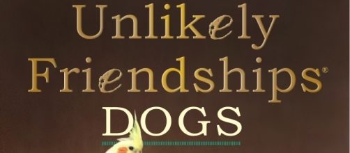 The cover of the newest book in the series, "Unlikely Friendships Dogs." / Photo via Luiz Higa Junior, Caters News Agency Ltd. Used with permission.