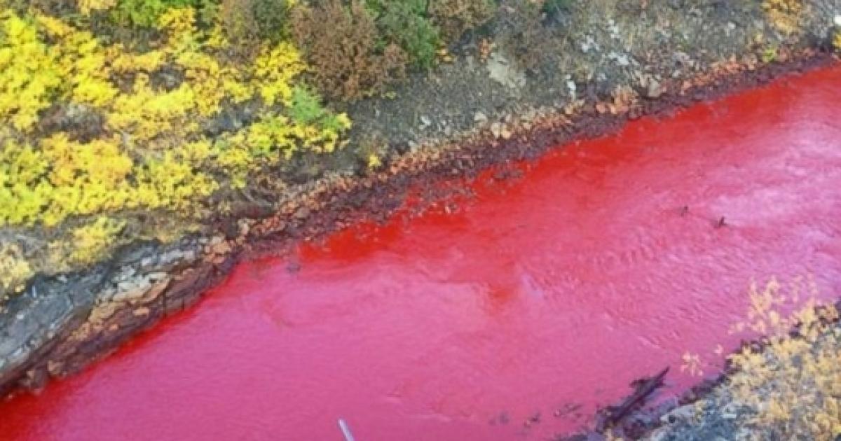 Science baffled River in Russia mysteriously turns blood red
