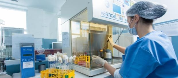 ALERTĂ! E. Coli în produse lactate și carne ALERTĂ! E. Coli în produse lactate și carne