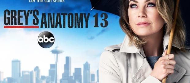 Grey's Anatomy 13, anticipazioni trama e cast Grey's Anatomy 13, anticipazioni trama e cast