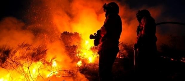 Mais de 600 operacionais auxiliados por 200 veículos e 9 meios aéreos no combate às chamas Mais de 600 operacionais auxiliados por 200 veículos e 9 meios aéreos no combate às chamas
