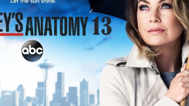 Grey's Anatomy 13, anticipazioni trama e cast