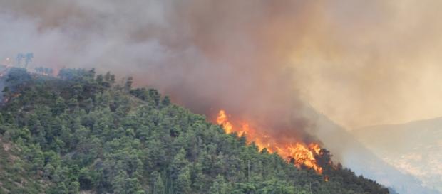 Los incendios forestales están arrasando el país Los incendios forestales están arrasando el país