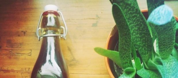 Un liquore fresco e delicato con vere proprietà digestive Un liquore fresco e delicato con vere proprietà digestive