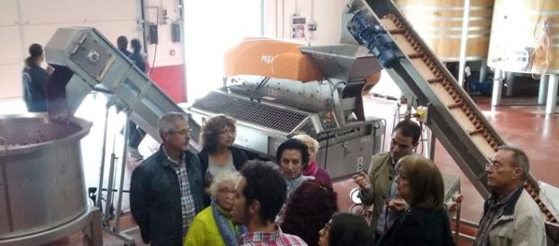 Una bodega abre sus puertas a los turistas en vendimia Una bodega abre sus puertas a los turistas en vendimia
