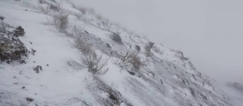 Italia nella morsa di neve, ghiaccio e vento: cinque vittime ... - repubblica.it