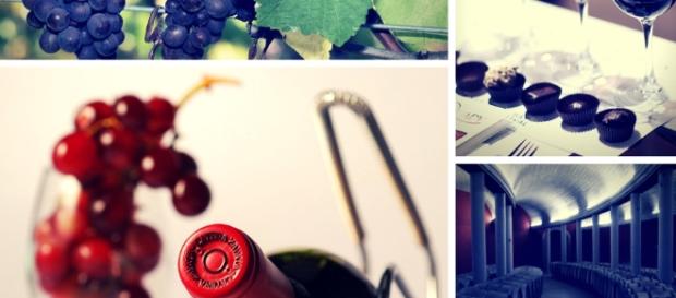El mundo del vino, una de las maravillas creadas por el hombre El mundo del vino, una de las maravillas creadas por el hombre