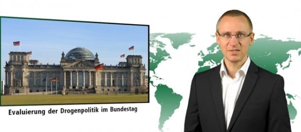 Georg Wurth - The head of the German Hanfverband on hemp ... - mushroom-magazine.com Georg Wurth - The head of the German Hanfverband on hemp ... - mushroom-magazine.com