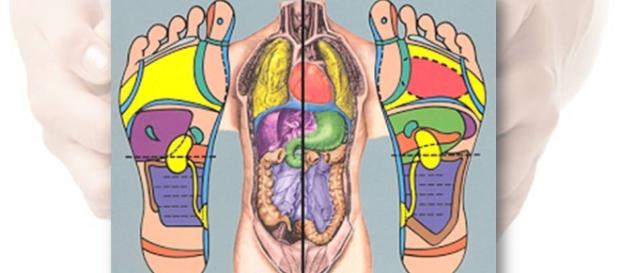 O que é a Reflexologia e os benefícios O que é a Reflexologia e os benefícios