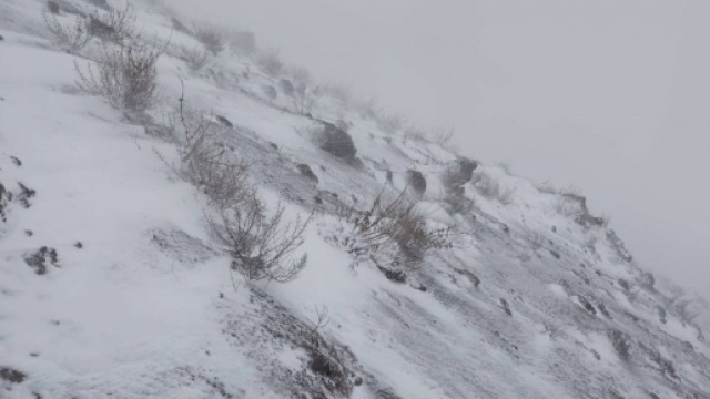 Italia nella morsa di neve, ghiaccio e vento: cinque vittime ... - repubblica.it