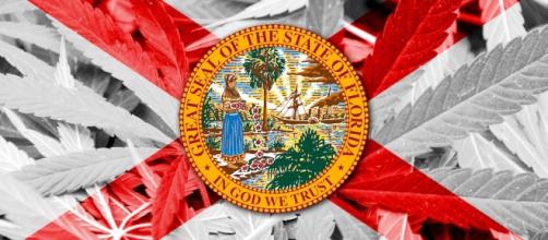 Analysis of Florida's Amendment 2 Medicinal Cannabis Law | Canna ... - cannamagazine.com