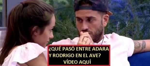 Adara y Rodrigo estuvieron a solas ¿qué pasó? Vídeo en la noticia Adara y Rodrigo estuvieron a solas ¿qué pasó? Vídeo en la noticia