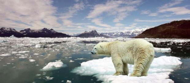Mira cómo el hielo del Ártico se ha derretido Mira cómo el hielo del Ártico se ha derretido