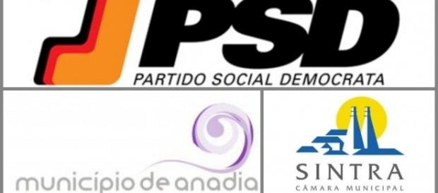 Os municípios de Anadia e Sintra vão este ano a votos Os municípios de Anadia e Sintra vão este ano a votos