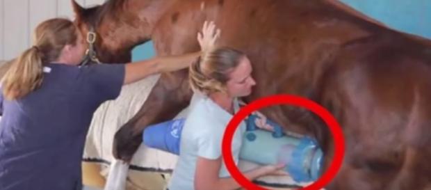 Tem gente por aí reclamando de barriga cheia sobre seus empregos atuais, só que mal sabem, quais são os piores trabalhos que existem no mundo. Tem gente por aí reclamando de barriga cheia sobre seus empregos atuais, só que mal sabem, quais são os piores trabalhos que existem no mundo.