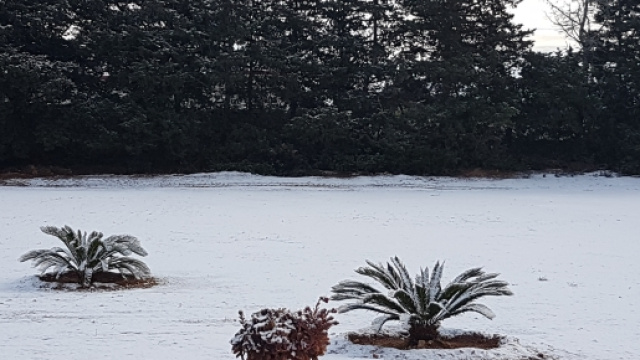 Ancora freddo nelle zone pugliesi.