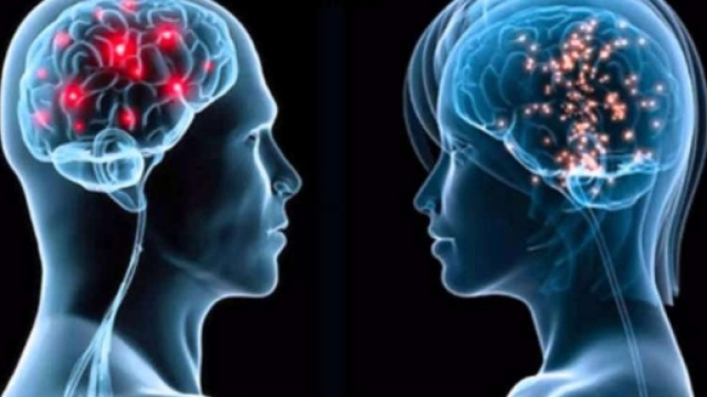 Ecco perchè il nostro cervello limita i nostri istinti