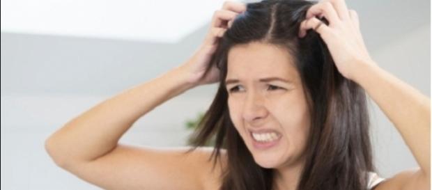 Coceira frequente no couro cabeludo pode ser sinal de foliculite capilar ou dermatite seborreica Coceira frequente no couro cabeludo pode ser sinal de foliculite capilar ou dermatite seborreica