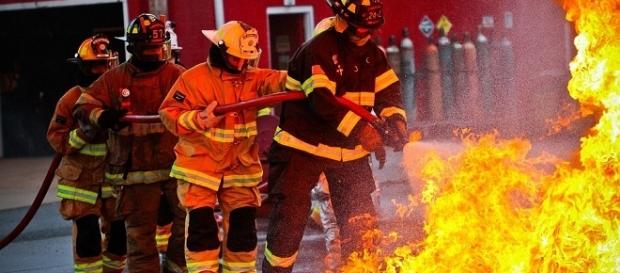 Vigili del Fuoco in azione durante un rogo Vigili del Fuoco in azione durante un rogo
