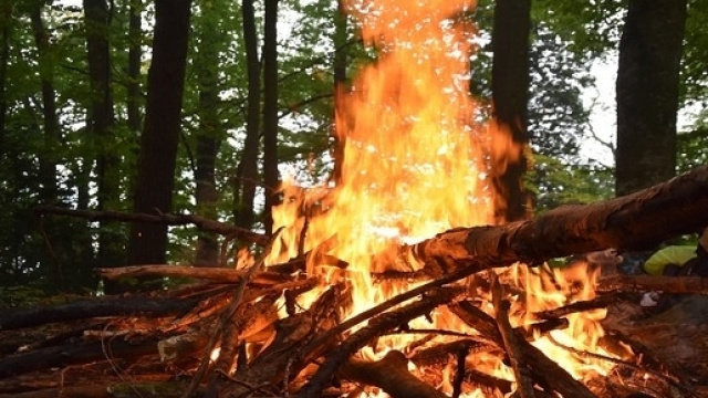 Tradizioni Sant'Antonio Abate in Sardegna