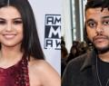 The Weeknd made a couple with Selena Gomez. Is Bella Hadid furious?