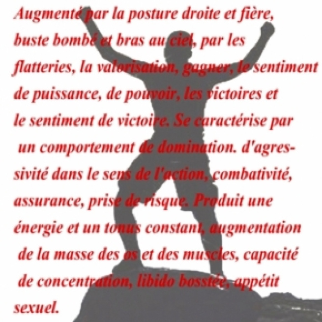Taux de testostérone élevé (Via creer-son-bien-etre.org Sophie Berger