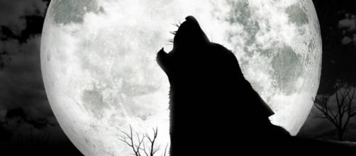 Are you superstitious about Friday the 13th? - newsprepper.com