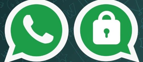 The WhatsApp Encryption update means you can now communicate ... - kachwanya.com