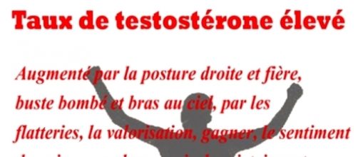 Taux de testostérone élevé (Via creer-son-bien-etre.org Sophie Berger