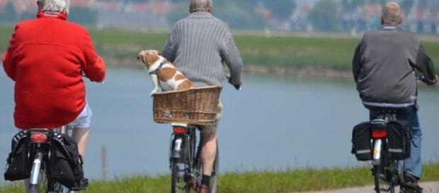La vejez... el mejor momento de la vida | DiarioHispaniola - diariohispaniola.com La vejez... el mejor momento de la vida | DiarioHispaniola - diariohispaniola.com