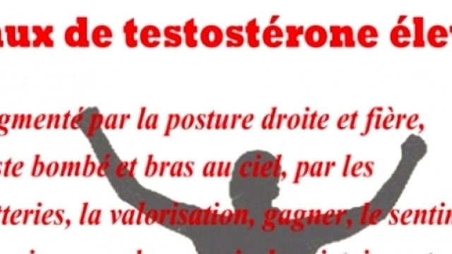 Taux de testostérone élevé (Via creer-son-bien-etre.org Sophie Berger