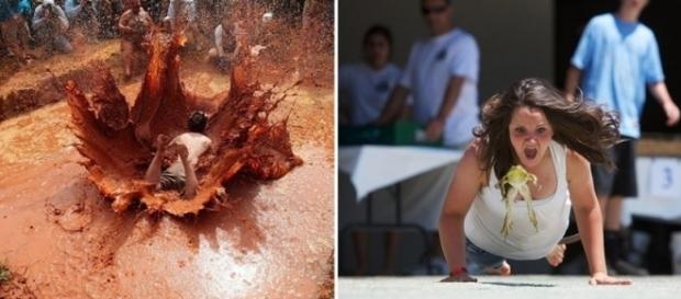 Corrida de sapo, surf de cachorro, ping pong de cerveja e as esquisitices não acabam mais nesta lista bizarra Corrida de sapo, surf de cachorro, ping pong de cerveja e as esquisitices não acabam mais nesta lista bizarra