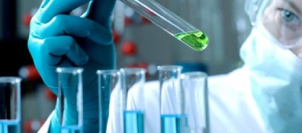 Muitos laboratórios já estão pesquisando sobre as causas da doença Muitos laboratórios já estão pesquisando sobre as causas da doença