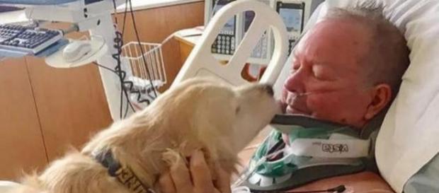 Bob a fost salvat de câinele său Kelsey, care l-a ținut în viață încălzindu-l după ce acesta a căzut în zăpadă - Foto: Spitalul McLaren Northern Bob a fost salvat de câinele său Kelsey, care l-a ținut în viață încălzindu-l după ce acesta a căzut în zăpadă - Foto: Spitalul McLaren Northern