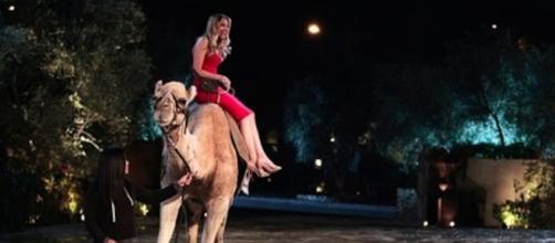Lacy arrives at the Bachelor mansion on a camel — ABC Television Network