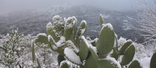 Dai Balcani ancora freddo e neve sull'Italia