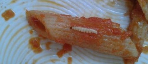 Nella mensa dell'Istituto Piscicelli sono stati trovati insetti nei piatti.