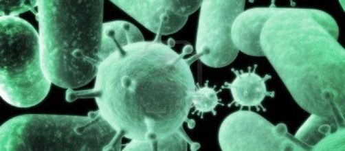 Super batterio resistente agli antibiotici, allarme negli USA ... - nanopress.it